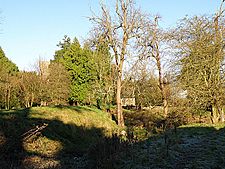 English Bicknor Castle.jpg