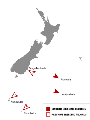 Eudyptes sclateri distribution (breeding).png