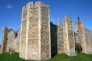 Framlingham walls closeup