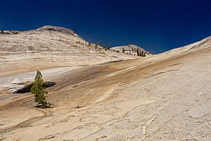 Glacially polished granite