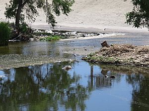 Glendale Narrows 2019b