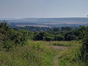 Golden Hill Country Park