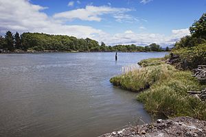 Hoquiam River (July 2016).jpg