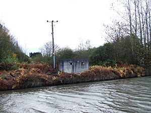 Hoscar pillbox