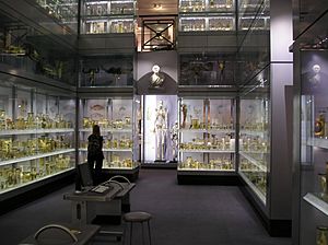 Hunterian Collection.jpg