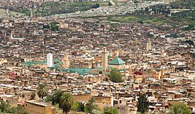 Looking out across the Medina of Fez