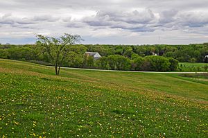 Minooka pasture 2008