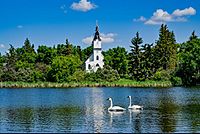 Mirror lake swans.jpg