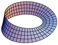 Moebius Surface 1 Display Small