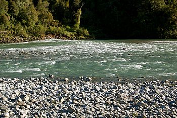 Mokihinui River.jpg