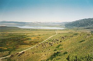 Mono Lake