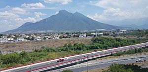 Montañas de guadalupe (Nuevo leon)