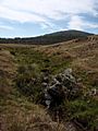 Murrumbidgee Headwater Peppercorn Hill (2)