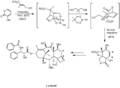 Nicolaou Taxol synthesis