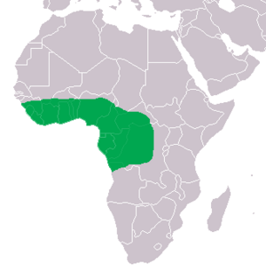 Osteolaemus tetraspis Distribution.png