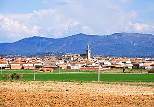 Paisaje de Cuerva (Toledo).jpg