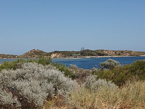 Penguin Island FromWA