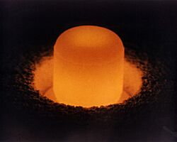 Plutonium pellet