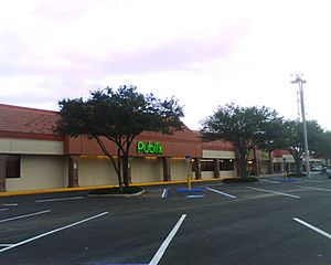 Publix Britton Plaza 2008 1