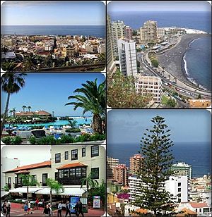 Top left: panorama view of Puerto de la Cruz; top right: Martianez Beach; middle left: Laguna Martianez; bottom left: Armas Square shopping area; bottom right: view of Araucaria heterophylla tree in Loro Park