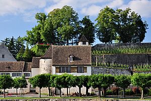 Rapperswil - Schlosshügel IMG 0966