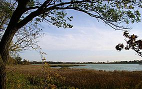 RiceLakeStateParkMN.jpg