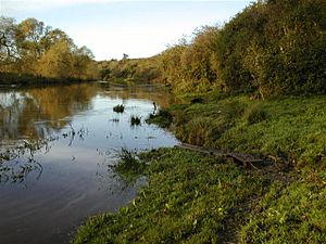 River Tees, Aislaby