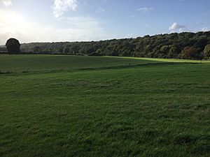 Romano-British site, Wickham Court Farm.jpg