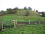 Skipsea Castle - geograph.org.uk - 79788.jpg