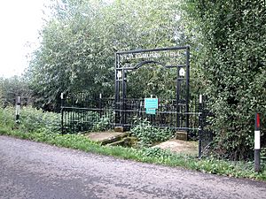 St Plegmund's well