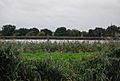 Stoke Newington East Reservoir