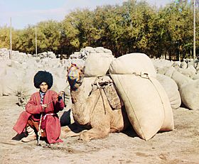 Turkmen man with camel