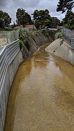 Twelve Mile Creek (Colma Creek tributary) at Antoinette Lane