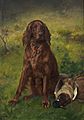 Uchermann-karl-christian-1855-irish-setter-with-a-duck