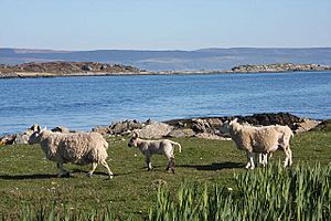 View to Gigalum Island