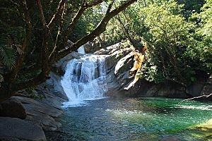 Wooroonooran Josephine Falls