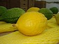 Yellow Etrog