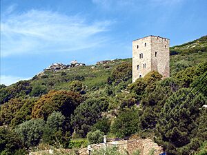 Bastia maison-tour la Vetrice Cardo