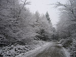 BlackhillRoadSnow