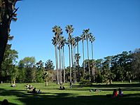 BotanicGardenPrado