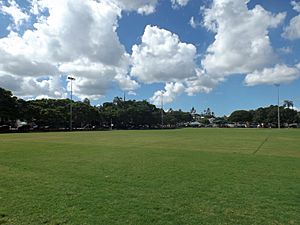 Bulimba Memorial Park field.jpg