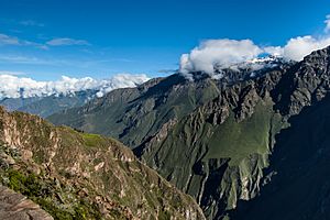 The Colca Canyon in the Department of Arequipa