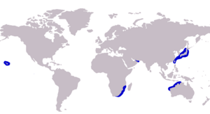 Carangoides equula distribution map.png