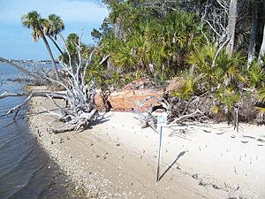 Cedar Key FL Atsena Otie03