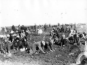 Children are digging up frozen potatoes in the field of a collective farm. Udachne village, Donec’k oblast. 1933