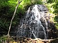 Crabtree Falls 7