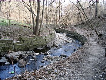 Creek (3456088673).jpg