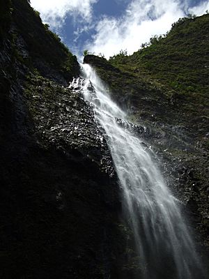 DerangedTaco-Kauai143