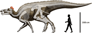 Edmontosaurus regalis