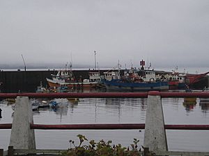 Embarcaciones en el muelle